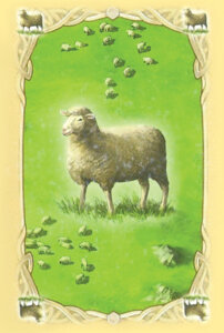 קטאן - מתקן לקלפים - קלף כבשה